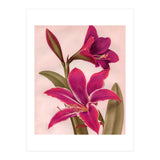 Vintage Floral (Print Only) thumbnail