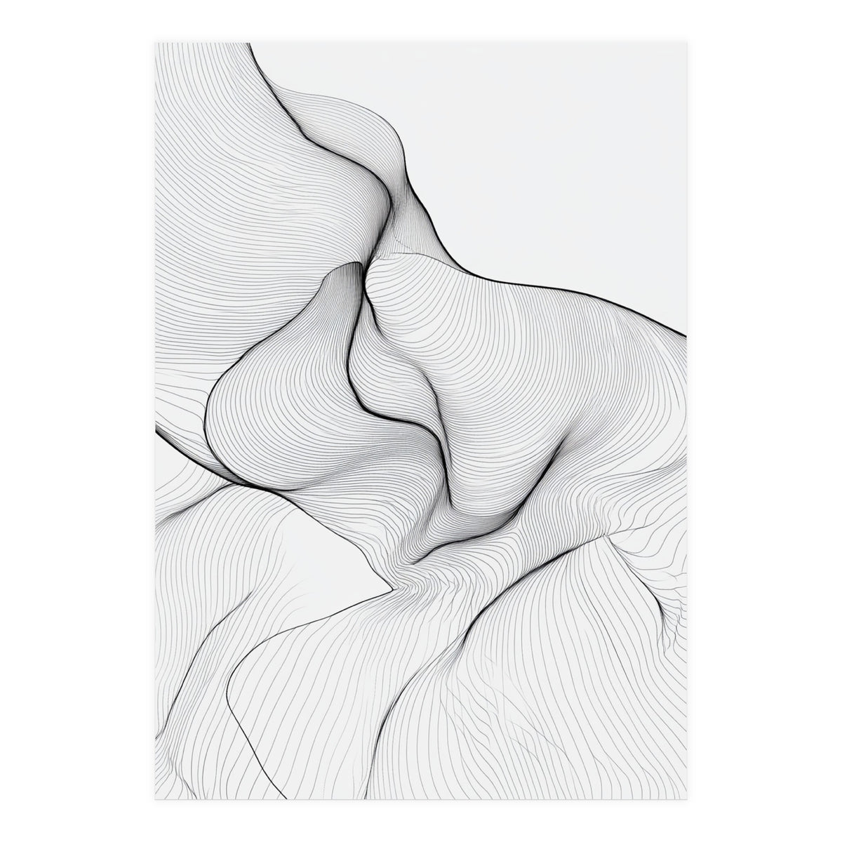 Abstract Black And White Flowing Lines Organic Form (Print Only)