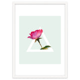Rose thumbnail