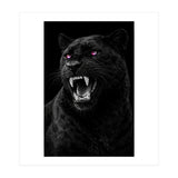 Black leopard with colorful eyes portrait (Print Only) thumbnail