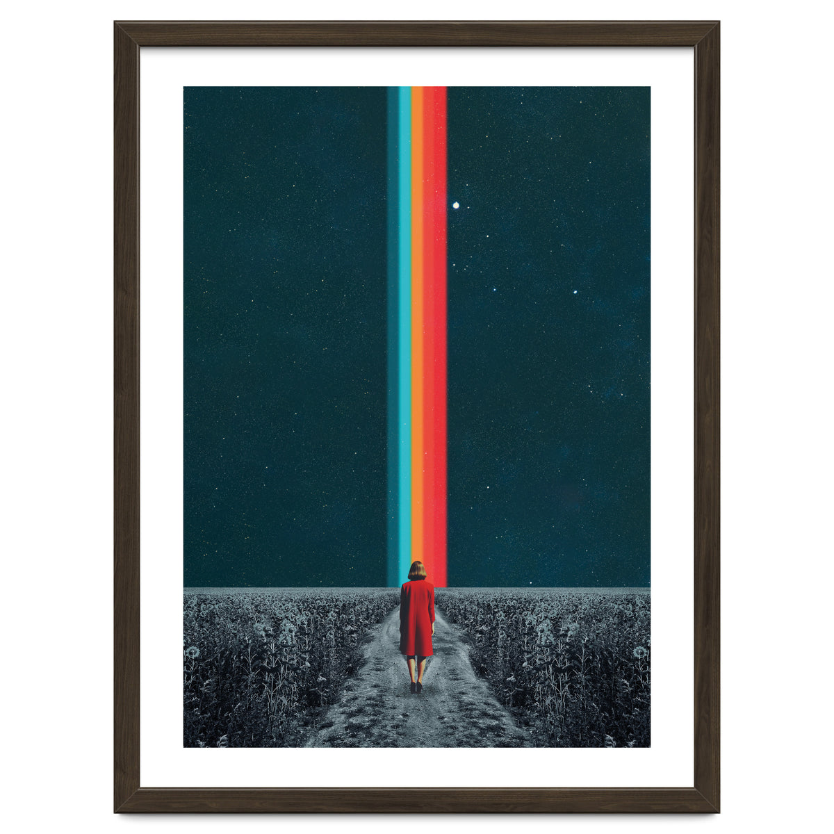 Follow Your Own Path