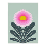 Chrysanthemum - turquoise and pink (Print Only) thumbnail