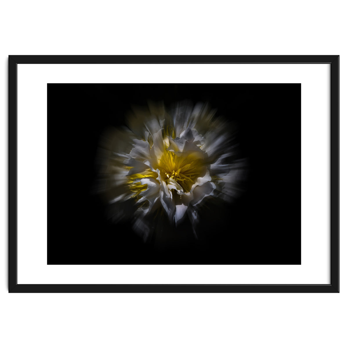 Backyard Flowers No 25 Color Flow Version