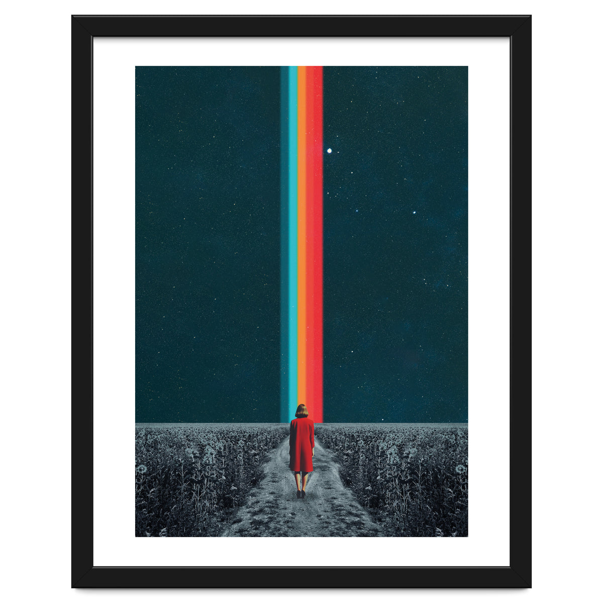 Follow Your Own Path