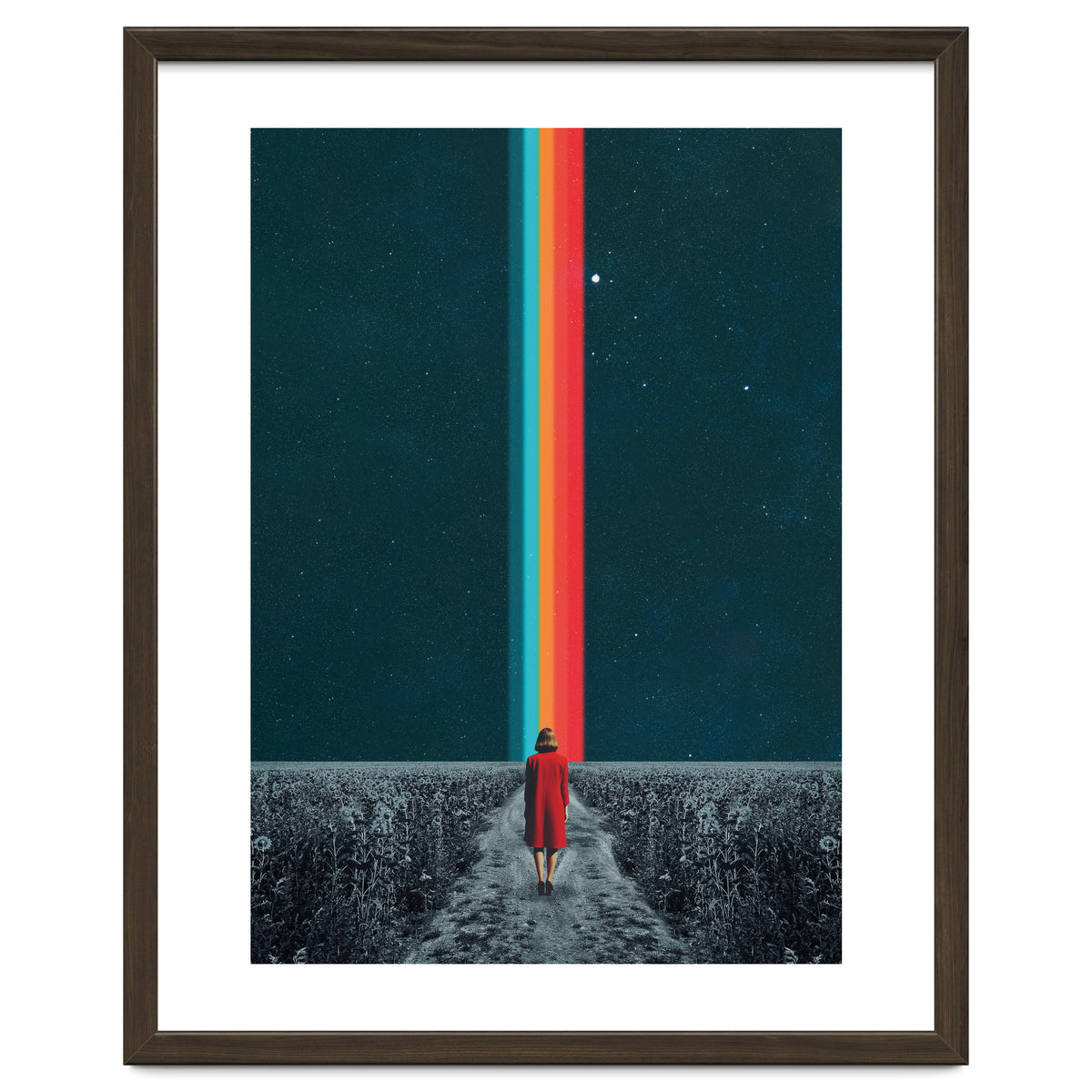 Follow Your Own Path