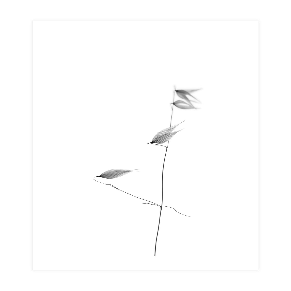 In light of current events IV (Print Only)