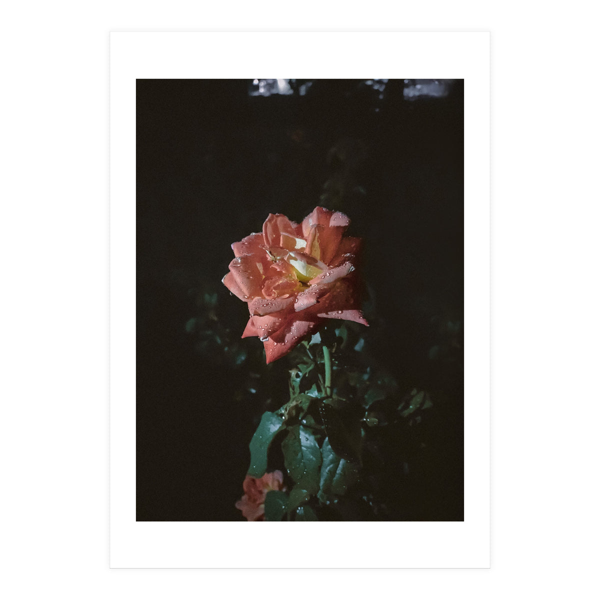 Romantic (Print Only)