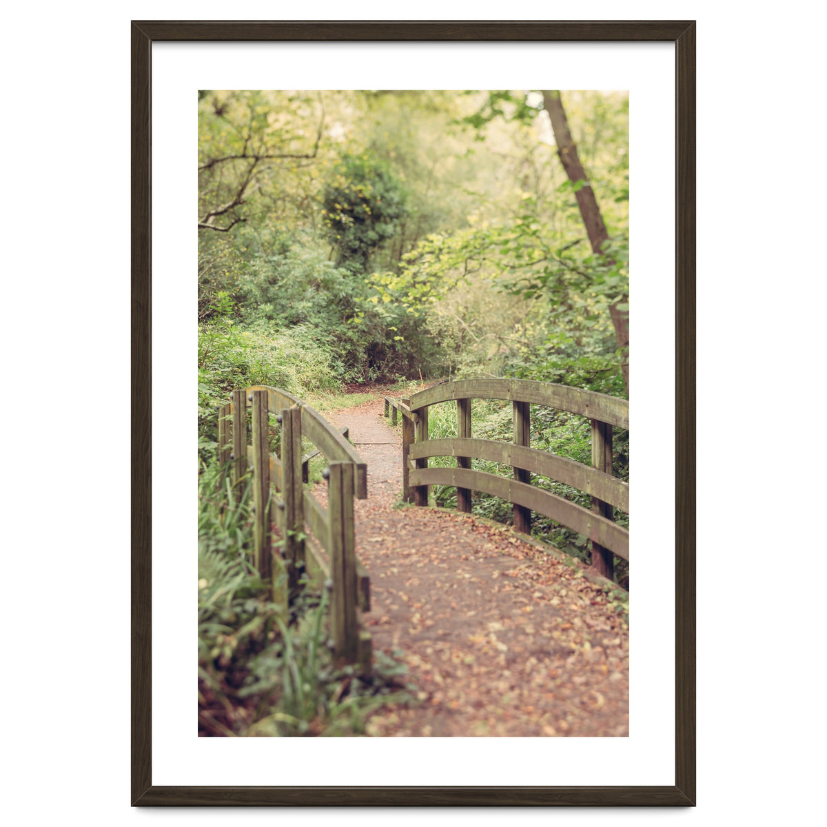 Path To The Bridge