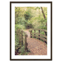 Path To The Bridge