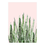 Botanical Balance (Print Only) thumbnail