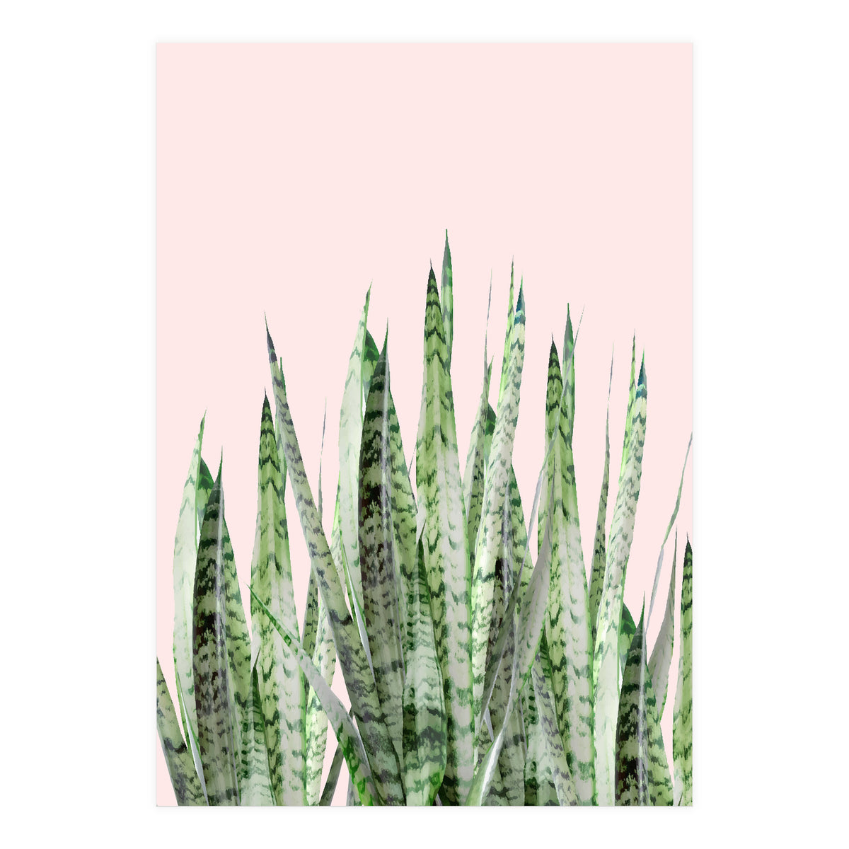 Botanical Balance (Print Only)