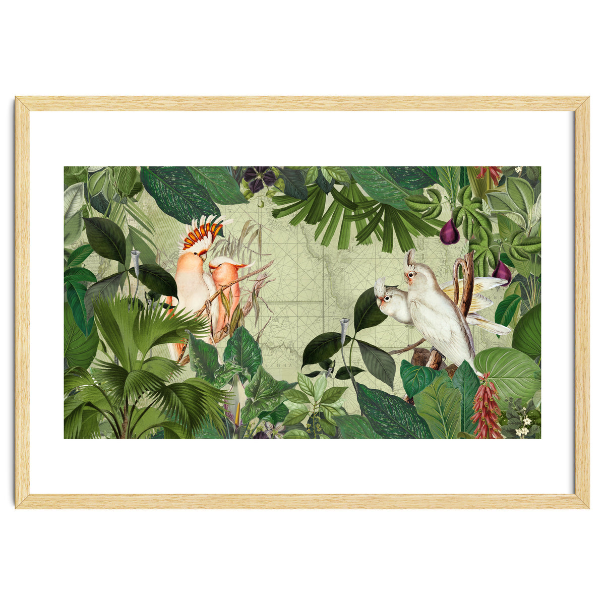 Cockatoo Island Green