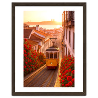 The Charm of a Classic City Tram