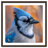 Blue Jay Bird Close Up Detailed Portrait thumbnail