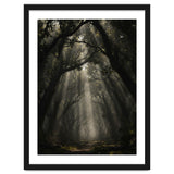 Enchanted Canopy: Mystical Forest Path thumbnail