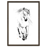 Runninh Ghorse In Water thumbnail