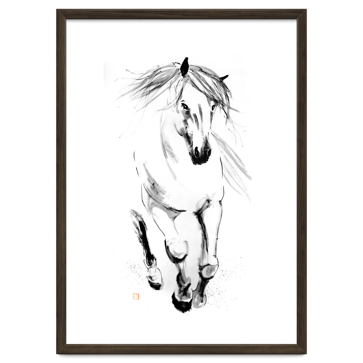 Runninh Ghorse In Water