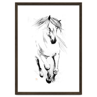 Runninh Ghorse In Water