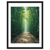 The Emerald Path: A Sun-Drenched Journey thumbnail