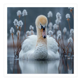 Swan Floating Serene On Calm Water (Print Only) thumbnail