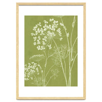 Wildflowers III