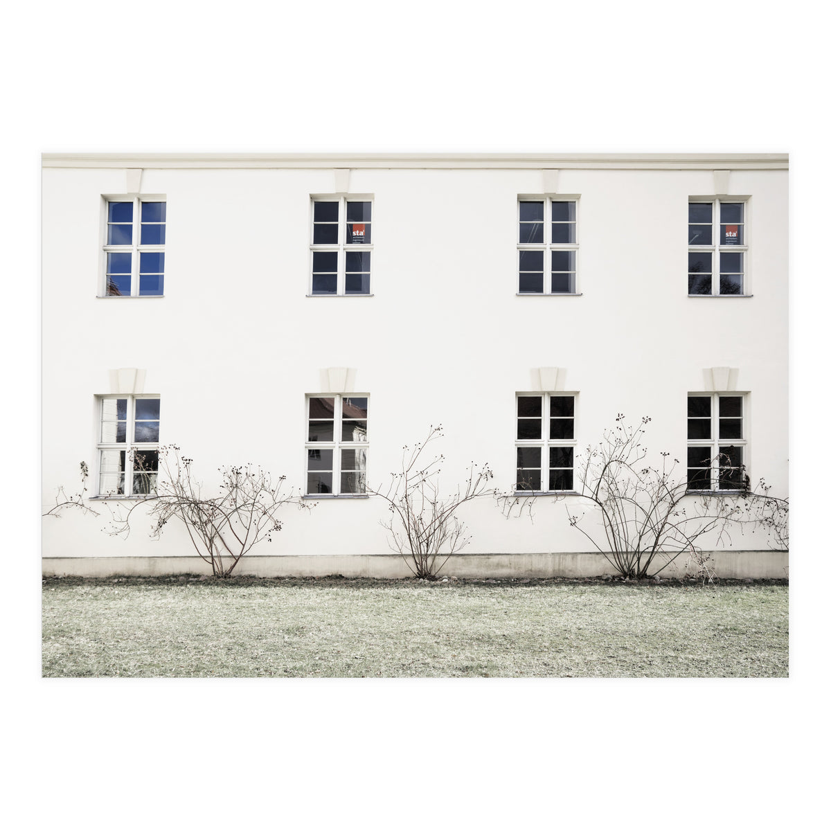 Small trees in between the windows  (Print Only)