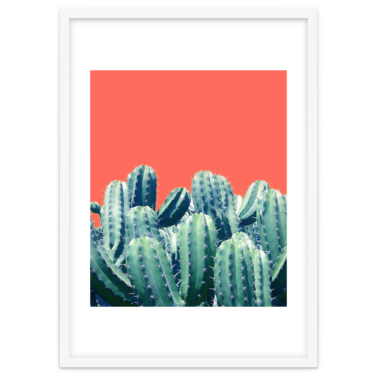 Cactus On Coral