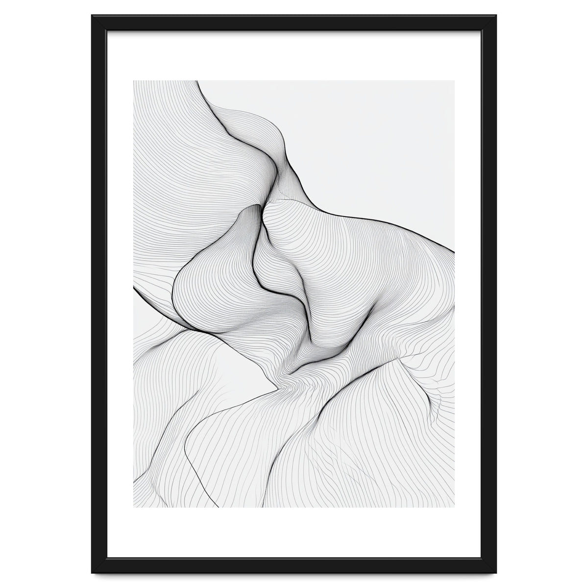 Abstract Black And White Flowing Lines Organic Form
