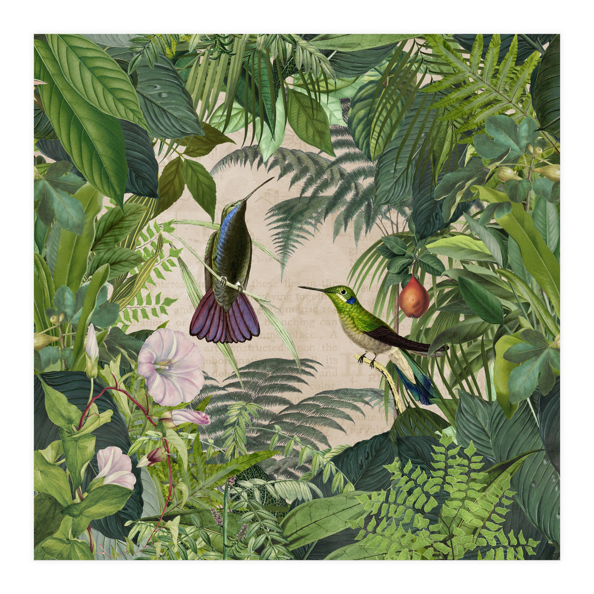 Tropical Hummingbird Jungle (Print Only)