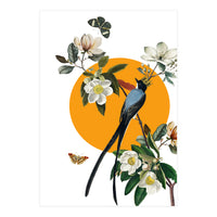 collage floral birds (Print Only)