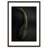 Gourds No 9 Color Version thumbnail