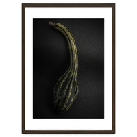 Gourds No 9 Color Version