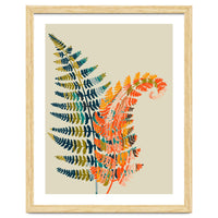 Colorful Fern Leaves