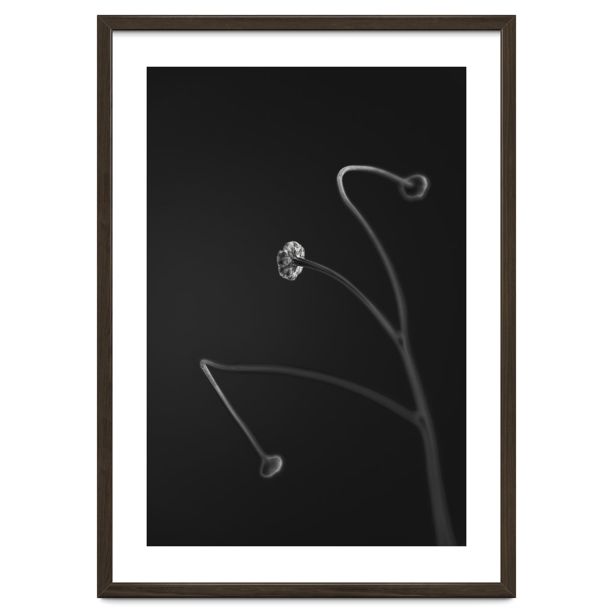 In light of current events VII