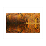 Autumn Reflections (Print Only) thumbnail