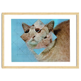 The Depressive Cat Am Abend Bekommt Den Blues thumbnail