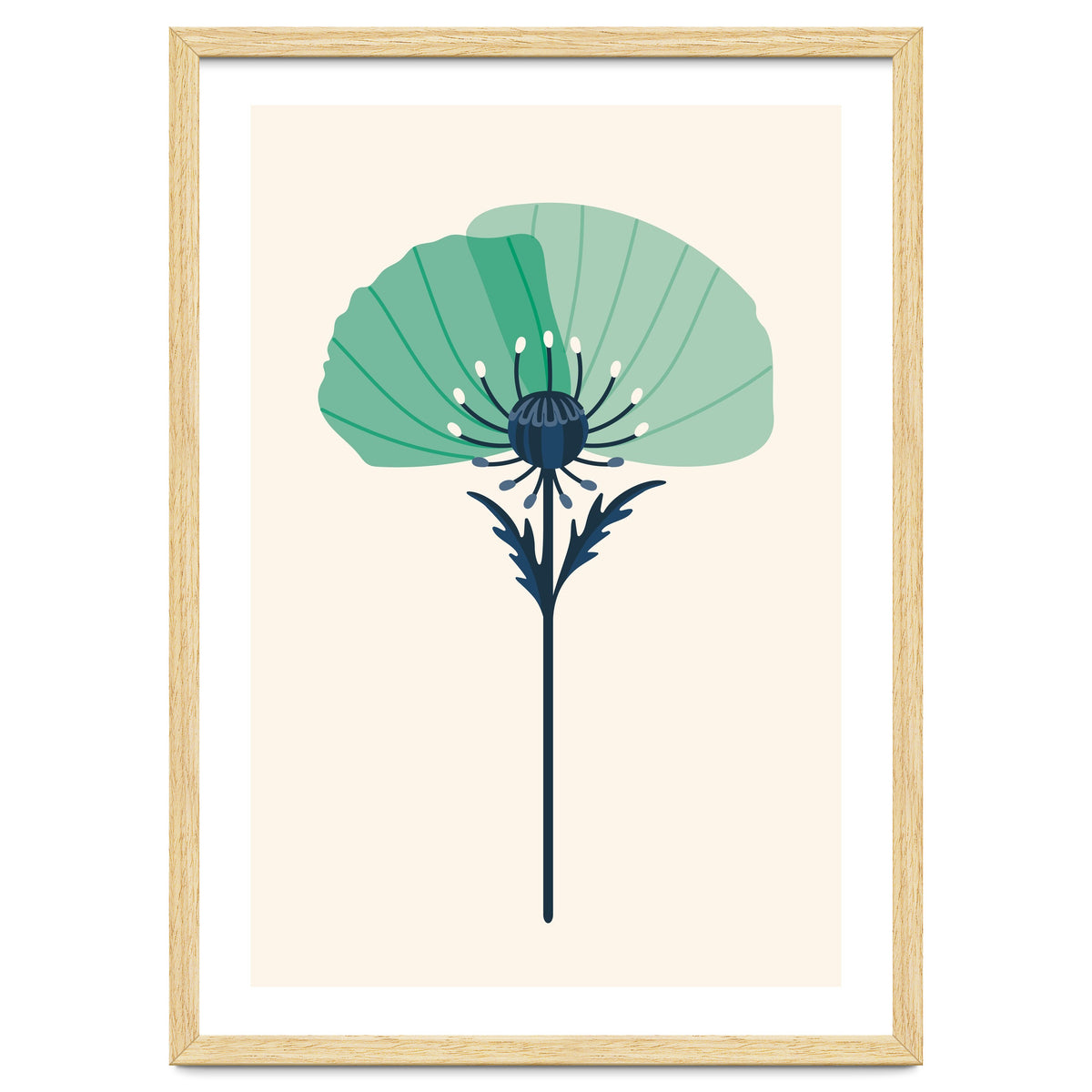 Teal Half Poppy