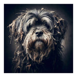 Old Dog 03 (Print Only) thumbnail