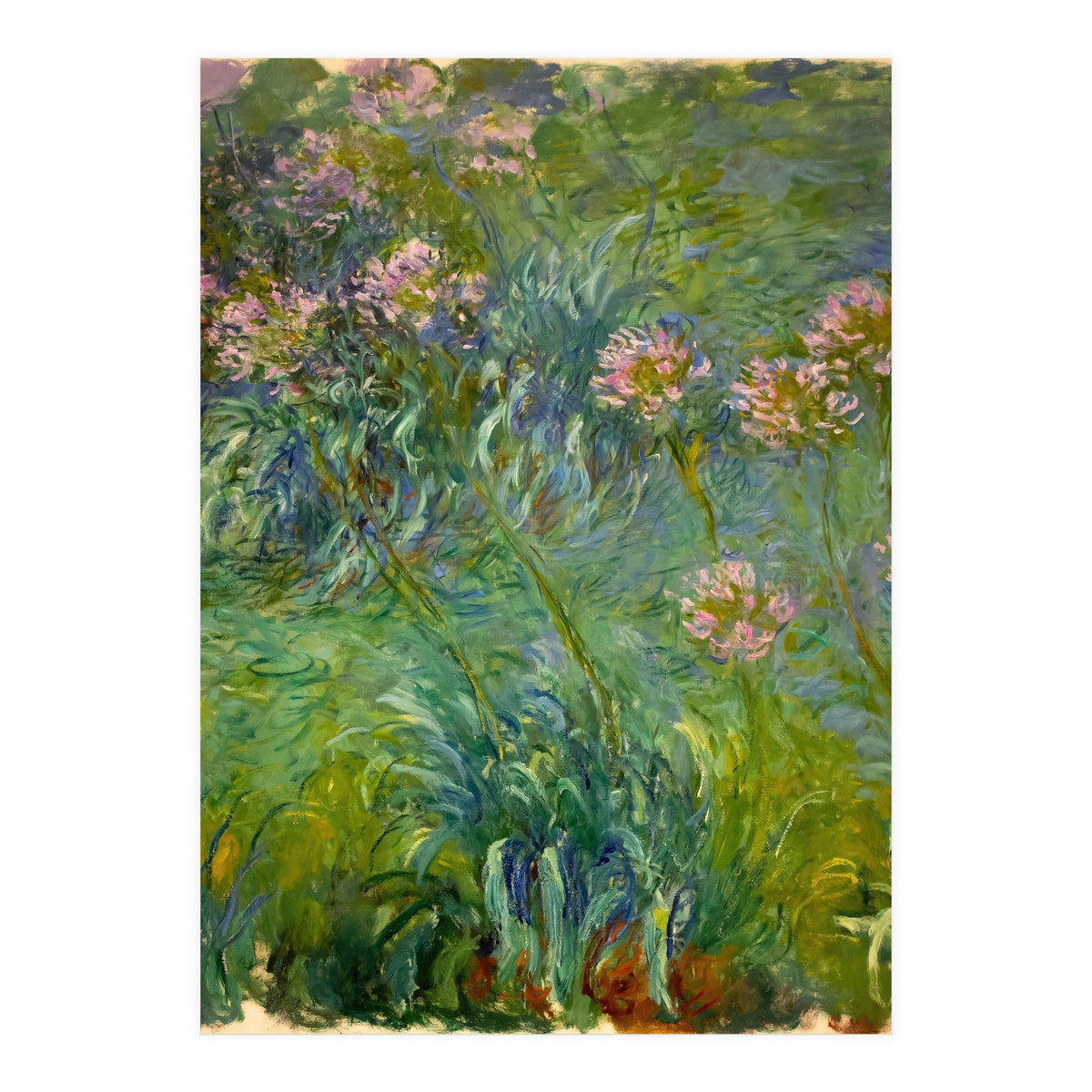 Claude Monet (1840-1926). Agapanthus. (Print Only)