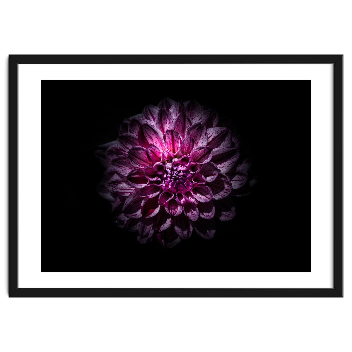 Backyard Flowers No 57 Color Version