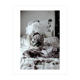 Black Roses (Print Only) thumbnail