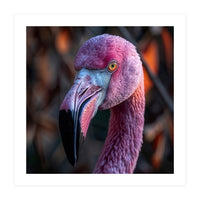 Close Up Of A Pink Flamingo Bird Face (Print Only)