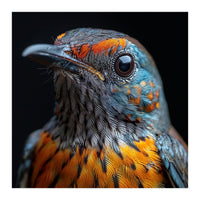 Close Up Of A Colorful Exotic Bird Head (Print Only)