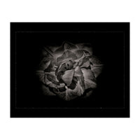 Backyard Flowers In Black And White No 81 with Border (Print Only)