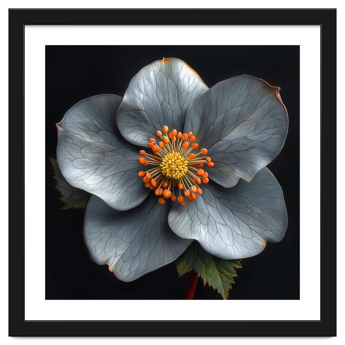 Hellebore | Silver Magic
