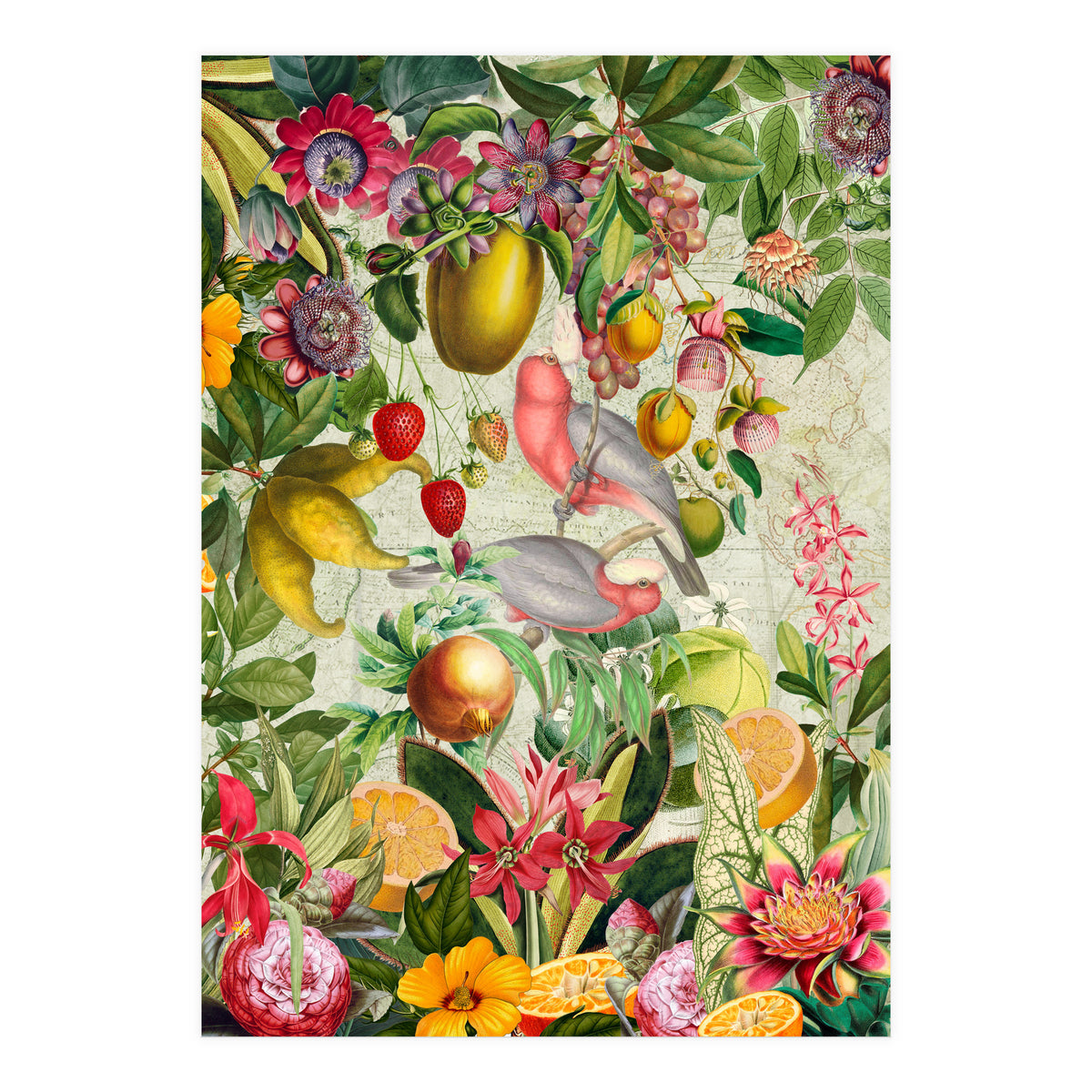 Pink Cockatoo vintage jungle  (Print Only)