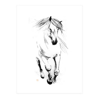 Runninh Ghorse In Water (Print Only)
