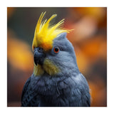 Close-up Portrait of a Yellow Cockatoo in the Wild. (Print Only) thumbnail