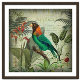 Tropical Bird Nostalgia thumbnail