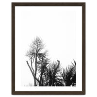 Miminalist Palm